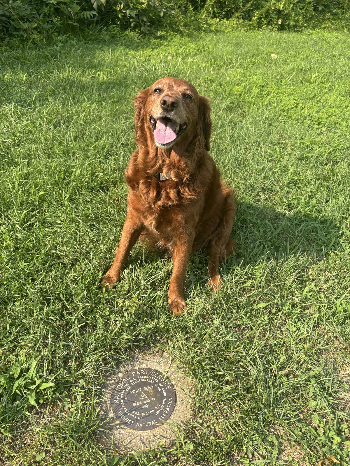 Charli beside the Point Reno survey marker in Fort Reno Park