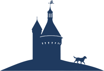 Point Reno Advisory logo