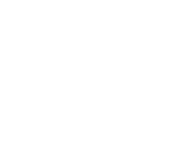 Point Reno Advisory